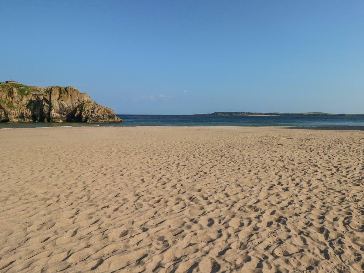 Willow Tenby